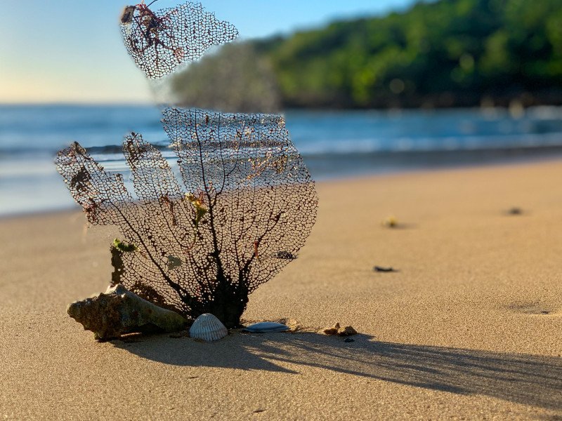 Piñones Kiosks & Beach
