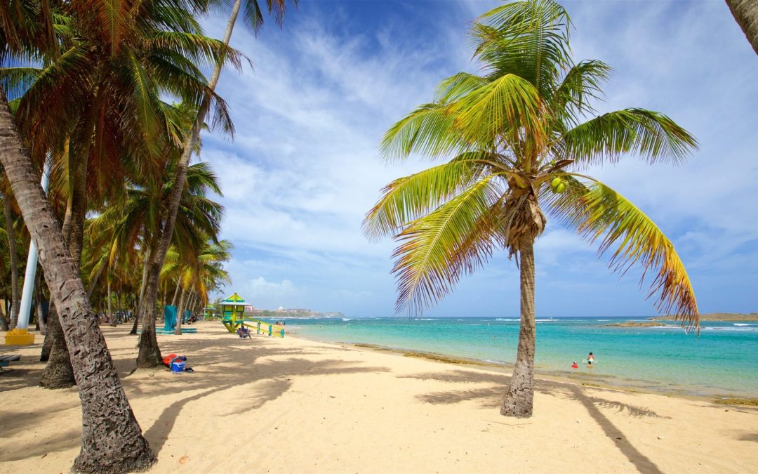 Piñones Kiosks & Escambron